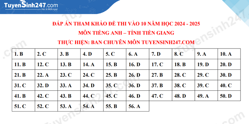 Đáp án đề thi tuyển sinh lớp 10 môn Tiếng Anh Tiền Giang năm 2024- Ảnh 8.