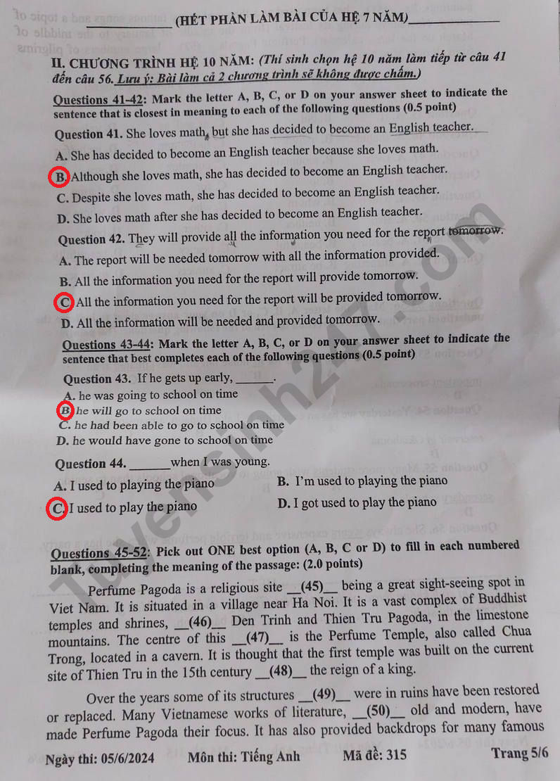 Đáp án đề thi tuyển sinh lớp 10 môn Tiếng Anh Tiền Giang năm 2024- Ảnh 6.
