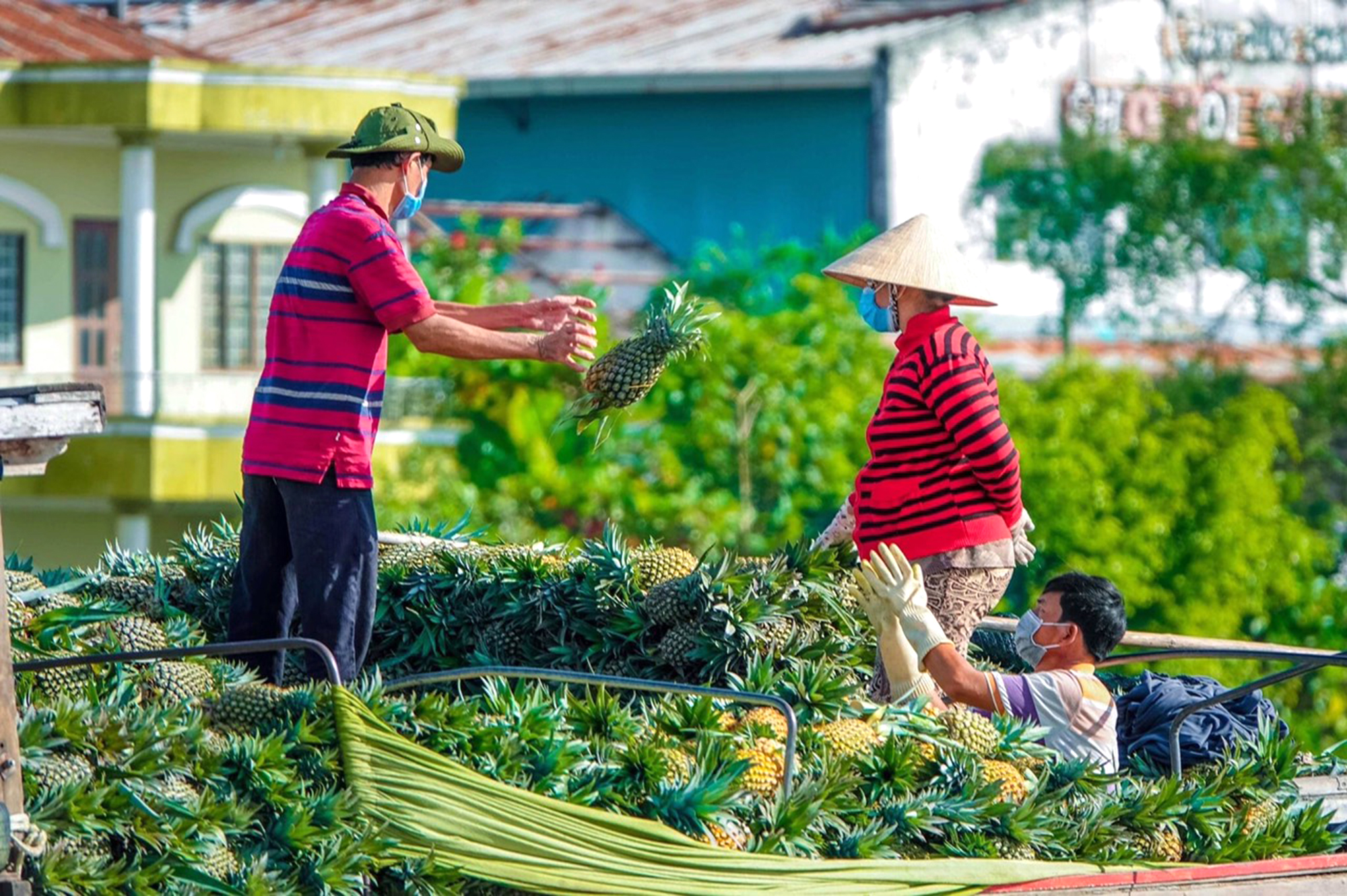 Chợ nổi Cái Răng loay hoay... tự nổi- Ảnh 2.