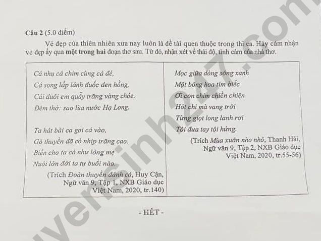 Đáp án đề thi tuyển sinh lớp 10 môn Ngữ văn Đồng Nai năm 2024- Ảnh 6. Đáp án đề thi tuyển sinh lớp 10 môn Ngữ văn Đồng Nai năm 2024- Ảnh 6.