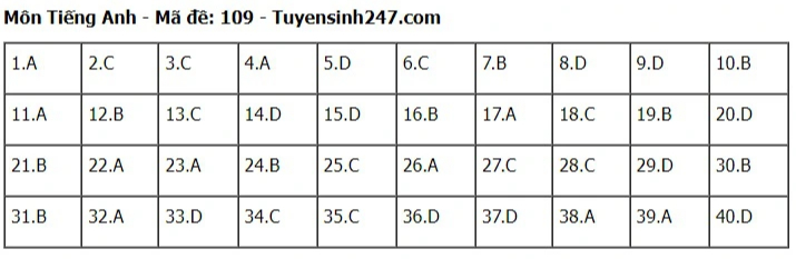 Đáp án đề thi tuyển sinh lớp 10 môn Tiếng Anh Hà Nội năm 2024- Ảnh 10.