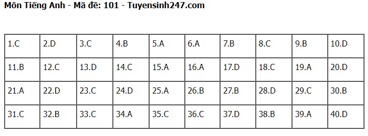 Đáp án đề thi tuyển sinh lớp 10 môn Tiếng Anh Hà Nội năm 2024- Ảnh 2.