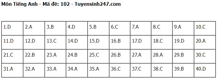 Đáp án đề thi tuyển sinh lớp 10 môn Tiếng Anh Hà Nội năm 2024- Ảnh 3.