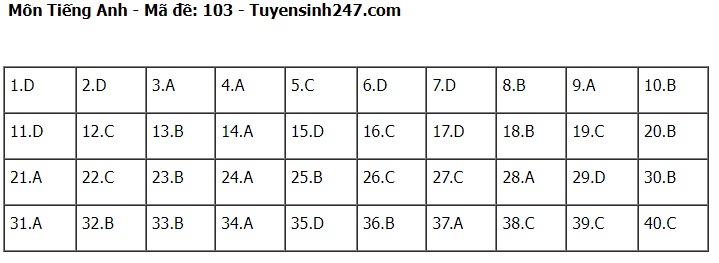 Đáp án đề thi tuyển sinh lớp 10 môn Tiếng Anh Hà Nội năm 2024- Ảnh 4.