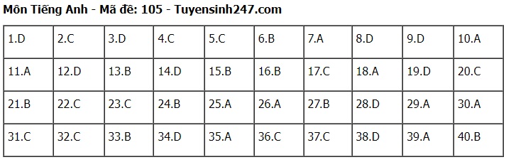 Đáp án đề thi tuyển sinh lớp 10 môn Tiếng Anh Hà Nội năm 2024- Ảnh 6.