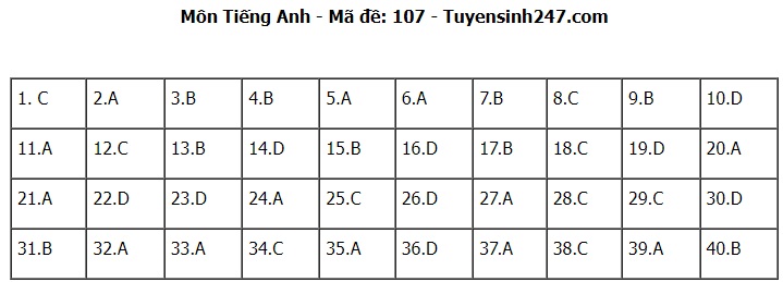 Đáp án đề thi tuyển sinh lớp 10 môn Tiếng Anh Hà Nội năm 2024- Ảnh 8.