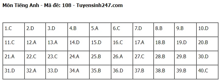 Đáp án đề thi tuyển sinh lớp 10 môn Tiếng Anh Hà Nội năm 2024- Ảnh 9.