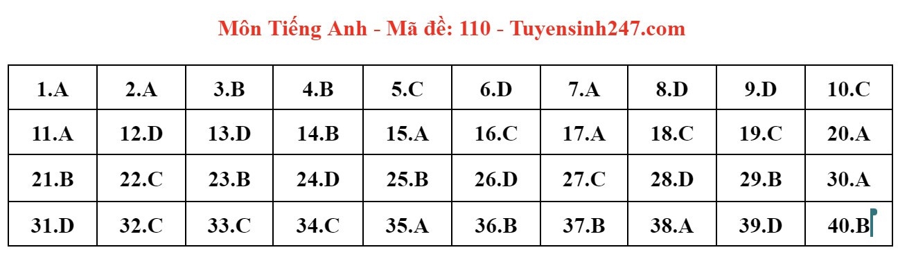 Đáp án đề thi tuyển sinh lớp 10 môn Tiếng Anh Hà Nội năm 2024- Ảnh 11.