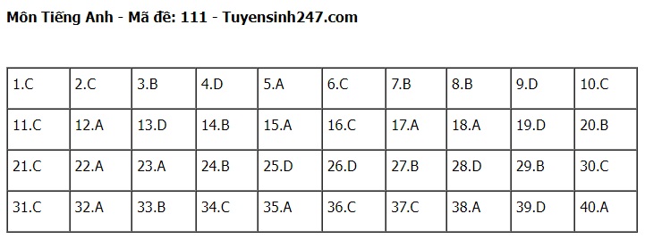 Đáp án đề thi tuyển sinh lớp 10 môn Tiếng Anh Hà Nội năm 2024- Ảnh 12.