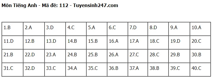 Đáp án đề thi tuyển sinh lớp 10 môn Tiếng Anh Hà Nội năm 2024- Ảnh 13.