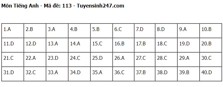 Đáp án đề thi tuyển sinh lớp 10 môn Tiếng Anh Hà Nội năm 2024- Ảnh 14.