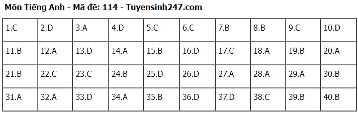 Đáp án đề thi tuyển sinh lớp 10 môn Tiếng Anh Hà Nội năm 2024- Ảnh 15.