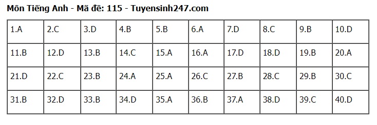 Đáp án đề thi tuyển sinh lớp 10 môn Tiếng Anh Hà Nội năm 2024- Ảnh 16.