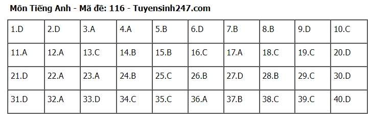 Đáp án đề thi tuyển sinh lớp 10 môn Tiếng Anh Hà Nội năm 2024- Ảnh 17.