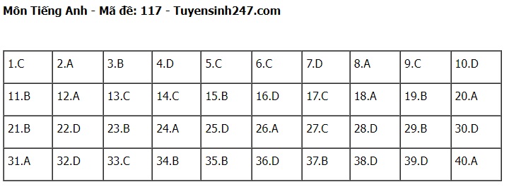 Đáp án đề thi tuyển sinh lớp 10 môn Tiếng Anh Hà Nội năm 2024- Ảnh 18.