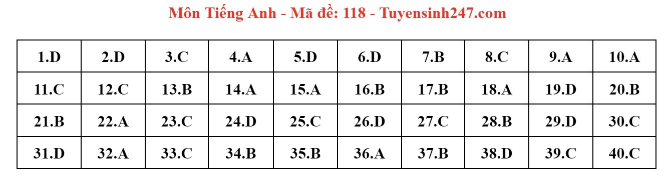 Đáp án đề thi tuyển sinh lớp 10 môn Tiếng Anh Hà Nội năm 2024- Ảnh 19.