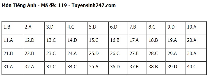 Đáp án đề thi tuyển sinh lớp 10 môn Tiếng Anh Hà Nội năm 2024- Ảnh 20.