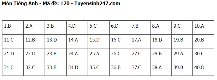 Đáp án đề thi tuyển sinh lớp 10 môn Tiếng Anh Hà Nội năm 2024- Ảnh 21.