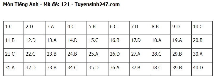 Đáp án đề thi tuyển sinh lớp 10 môn Tiếng Anh Hà Nội năm 2024- Ảnh 22.