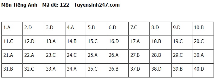 Đáp án đề thi tuyển sinh lớp 10 môn Tiếng Anh Hà Nội năm 2024- Ảnh 23.