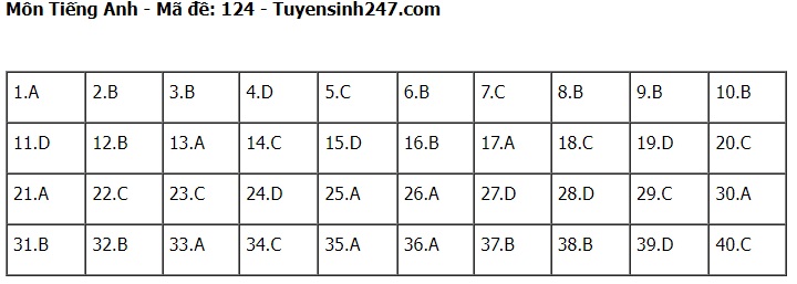 Đáp án đề thi tuyển sinh lớp 10 môn Tiếng Anh Hà Nội năm 2024- Ảnh 25.