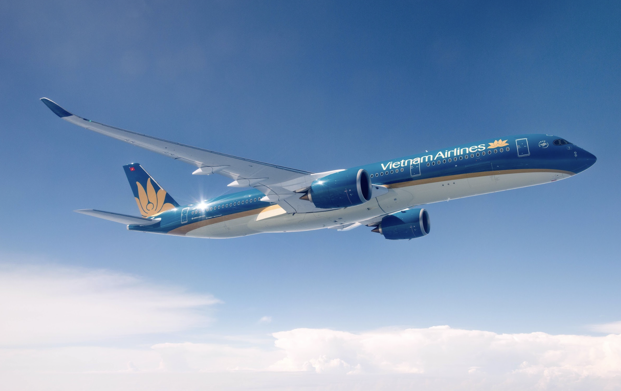 Mỗi tuần, Vietnam Airlines khai thác 112 chuyến bay đi/đến Hàn Quốc- Ảnh 2.