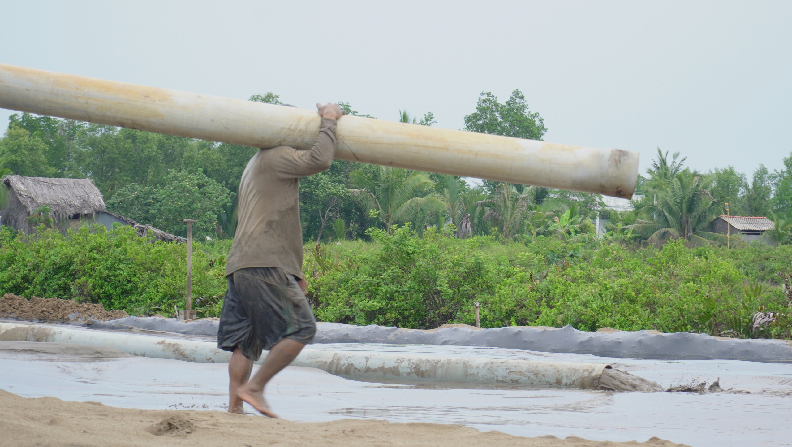 Sà lan chở cát biển đầu tiên về công trường cao tốc ở Cà Mau- Ảnh 7.