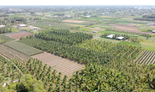 Chính quyền địa phương nêu lý do chậm xây dựng khu tái định cư dự án kênh Chợ Gạo- Ảnh 1.