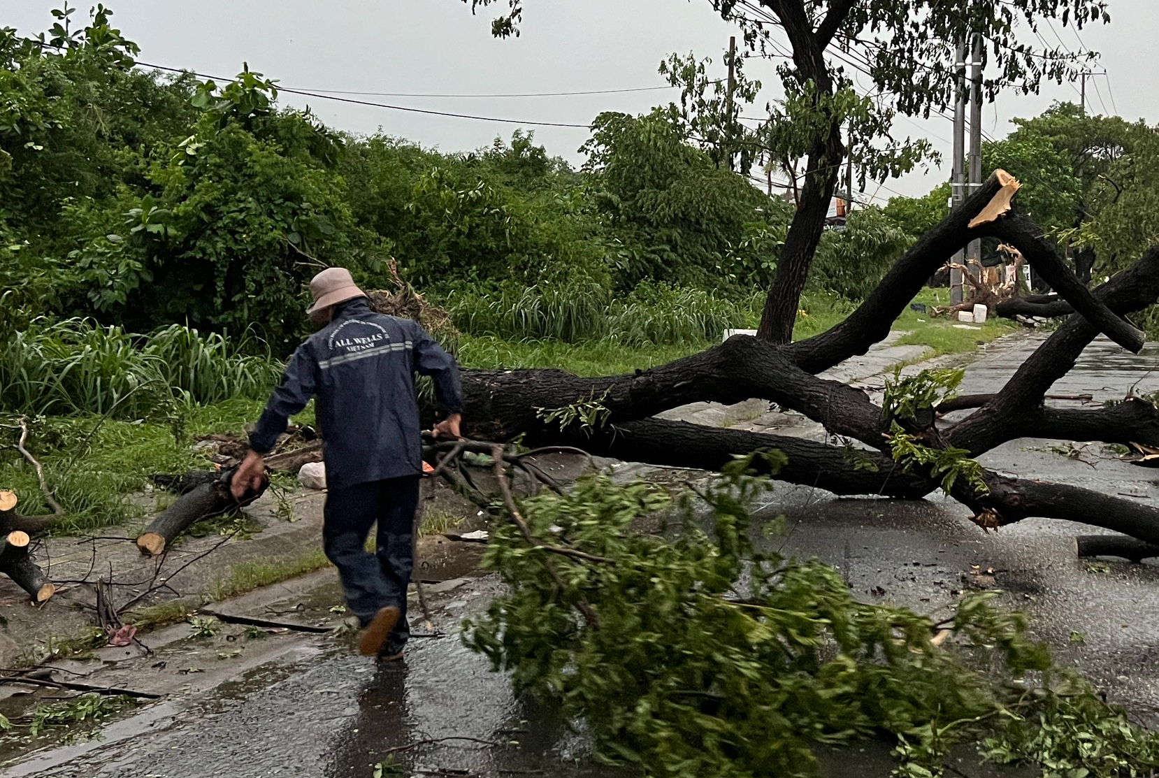 Mưa lớn kèm gió lốc, cây sao cao 30m ngã đổ chắn ngang QL20- Ảnh 11.