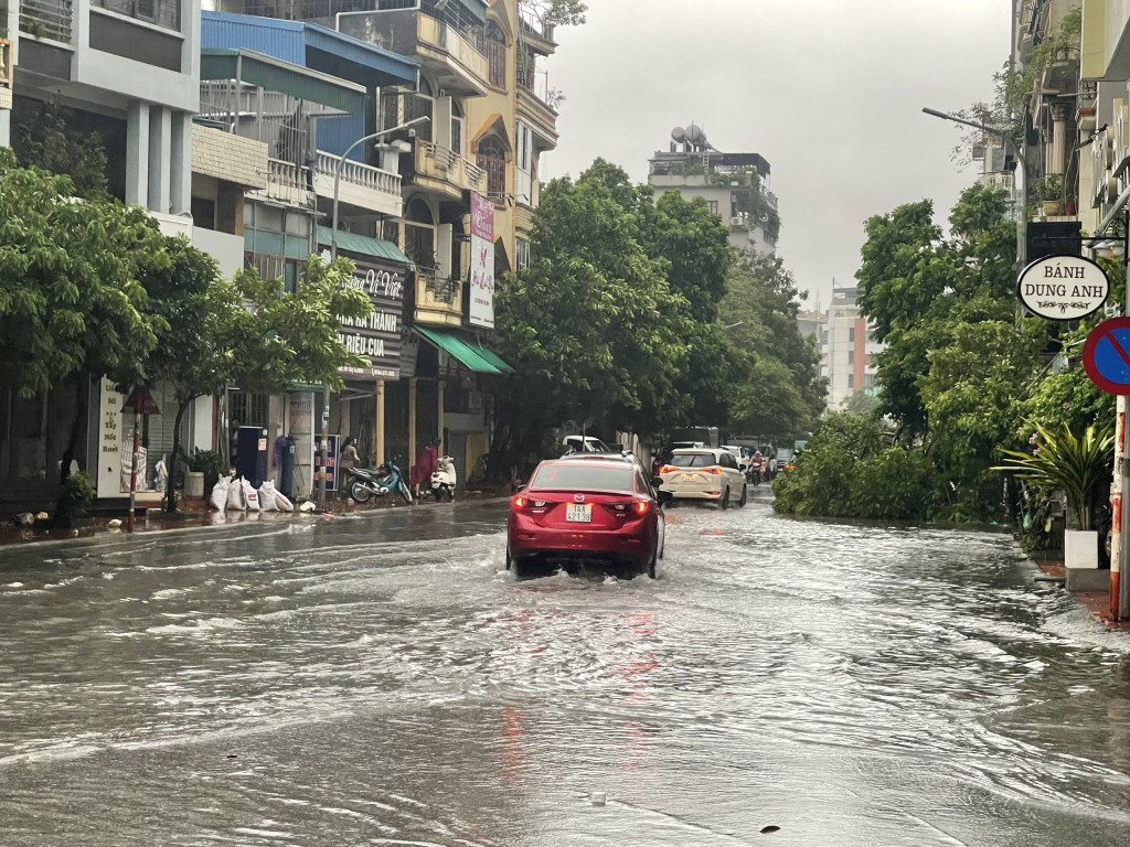 Bão số 2 đổ bộ: Quảng Ninh, Hải Phòng mưa lớn, nhiều cây xanh gãy đổ- Ảnh 1.