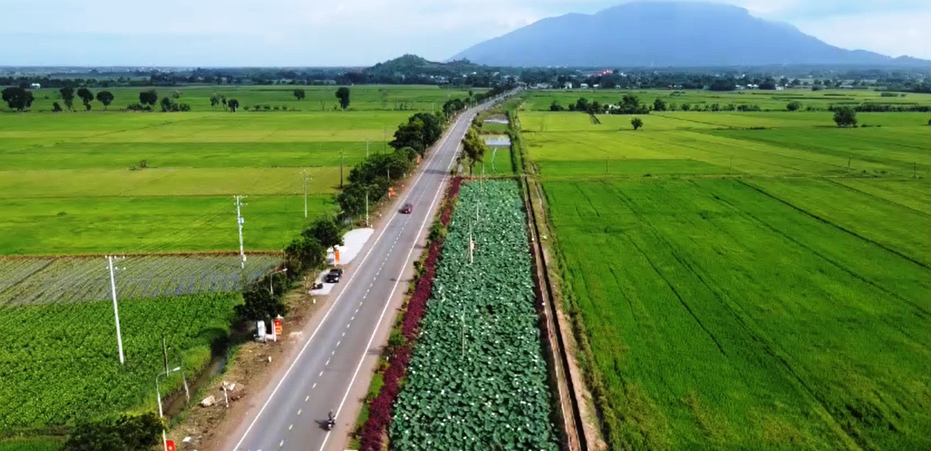 Các tuyến đường tỉnh kết nối sân bay Long Thành triển khai ra sao?- Ảnh 2.