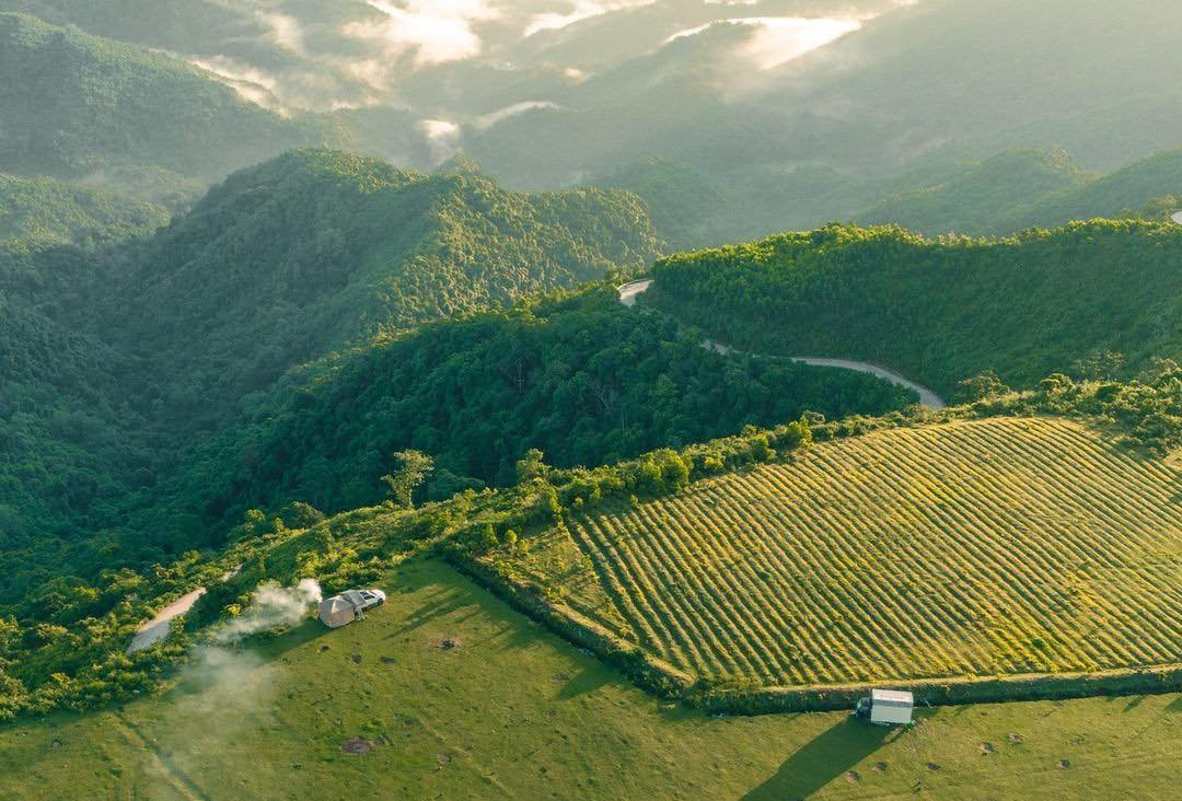 Đến Bùi Hui ngắm thảo nguyên mơ mộng giữa đại ngàn- Ảnh 4.