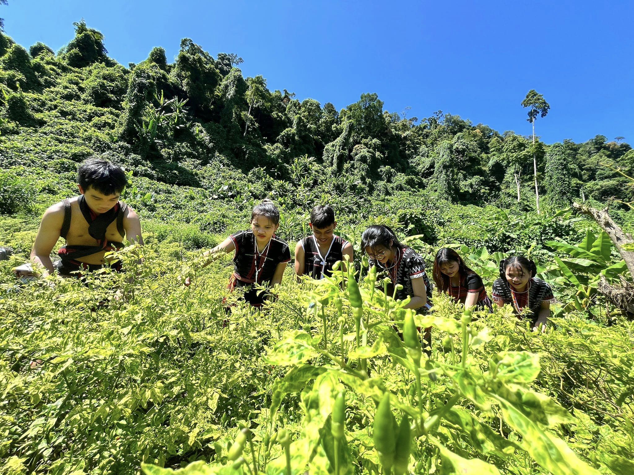 Đặc sắc lễ hội ớt A Riêu nơi Cổng trời Đông Giang- Ảnh 4.