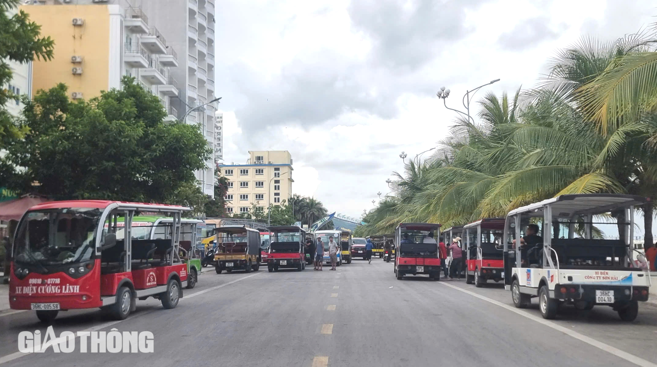 Vì sao bãi biển Hải Tiến năm nay "ngủ đông" sớm?- Ảnh 3.