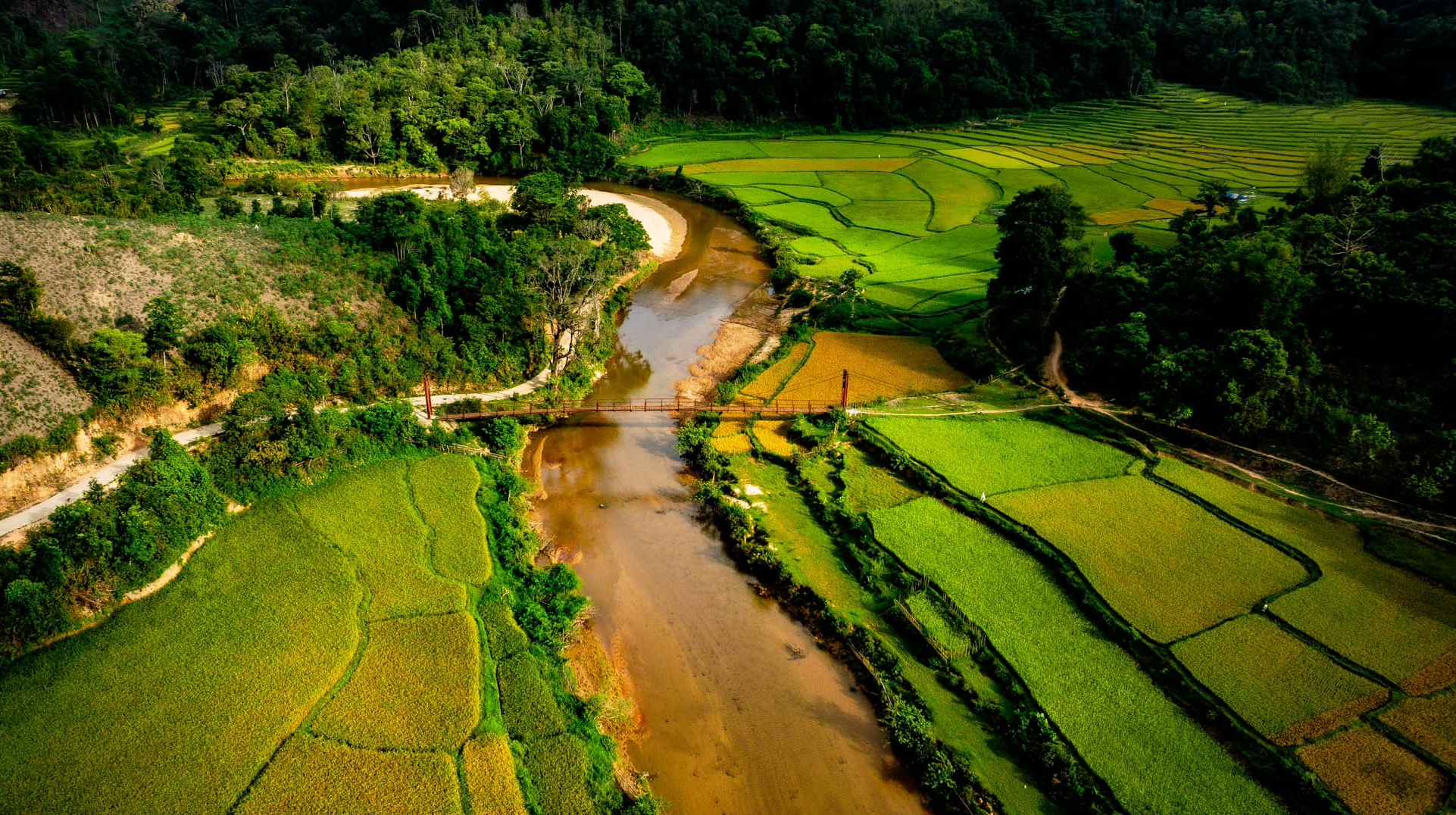 Mùa vàng trên cao nguyên Măng Đen- Ảnh 4.