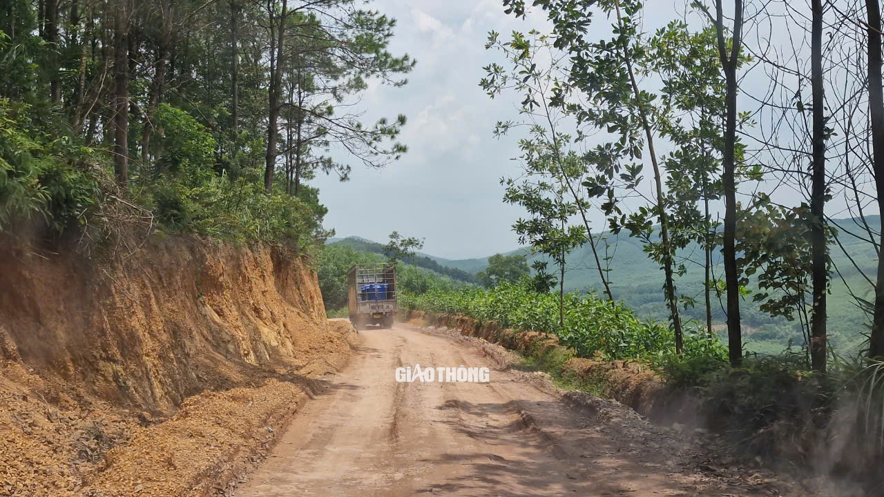 Thi công 2,4km đường trái phép trên đất rừng dẫn vào trại lợn tại Lạng Sơn- Ảnh 4.