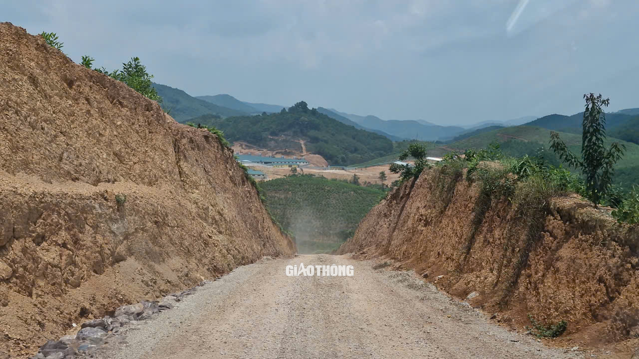 Thi công 2,4km đường trái phép trên đất rừng dẫn vào trại lợn tại Lạng Sơn- Ảnh 5.