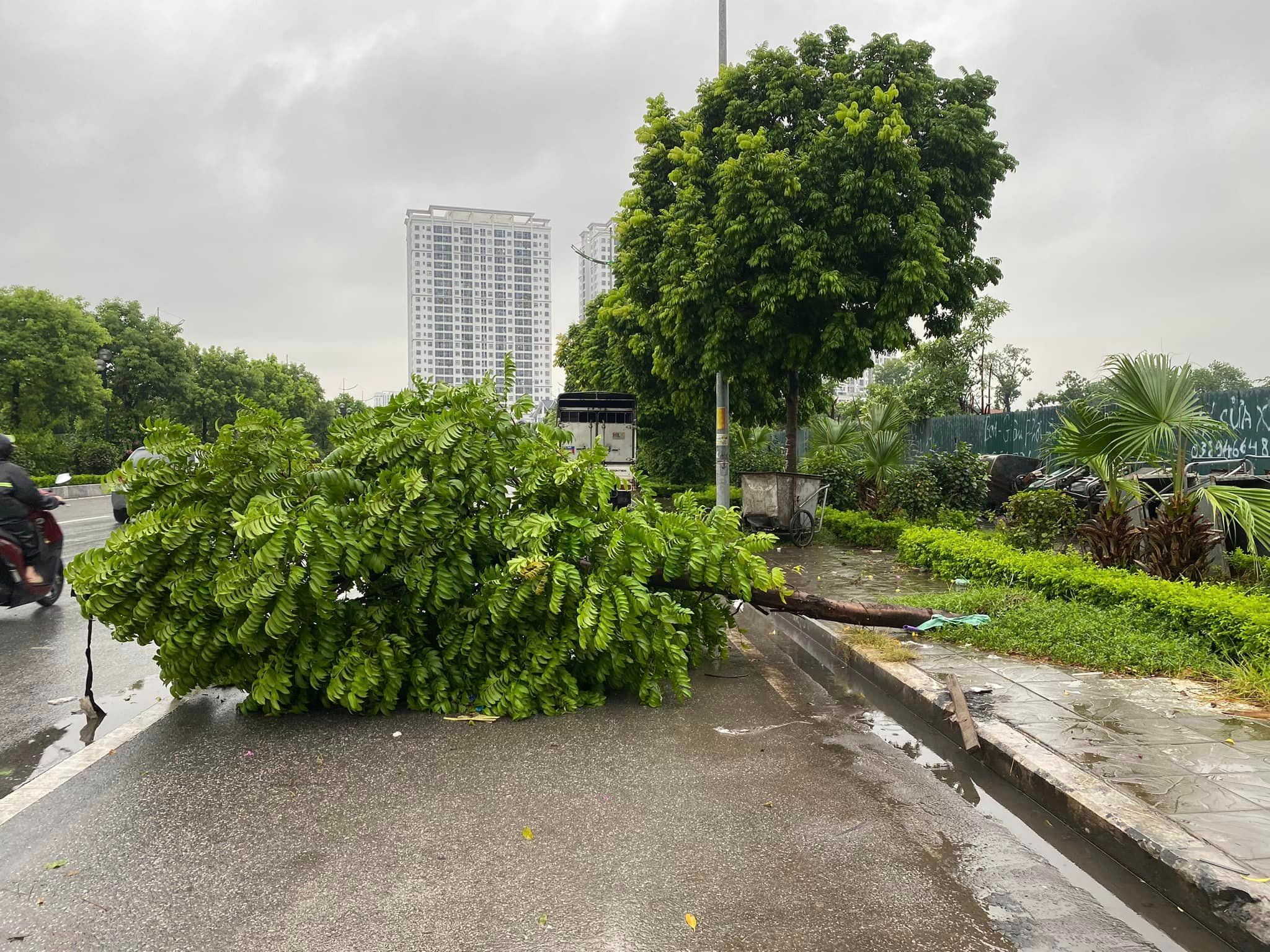 Dự báo mưa lớn các quận nội thành Hà Nội- Ảnh 1.