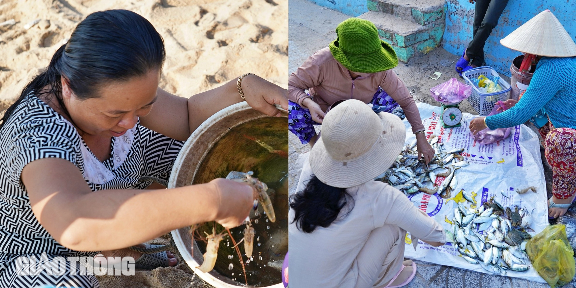 Nhịp sống yên bình ở làng chài Phước Hải- Ảnh 8.