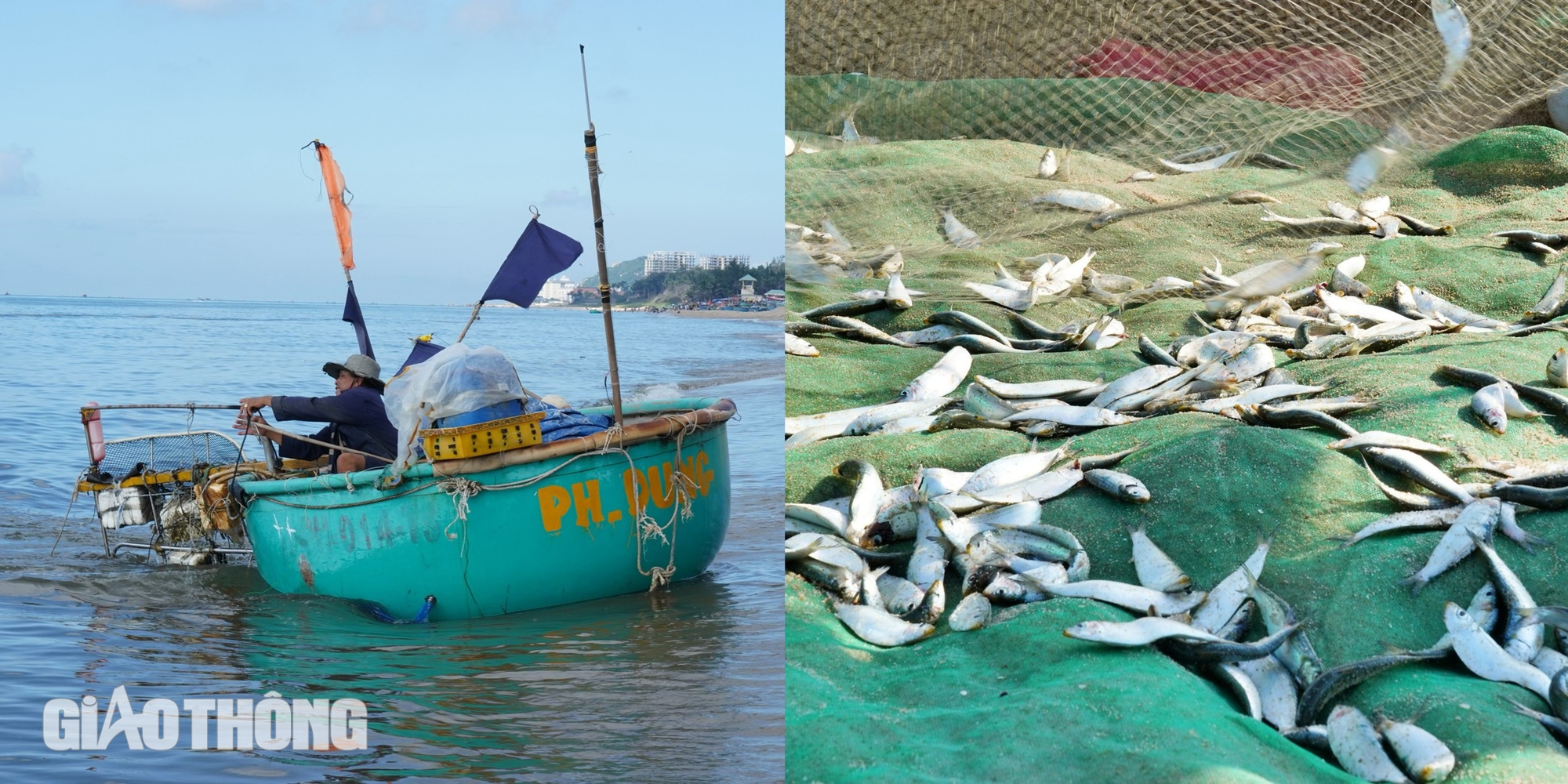 Nhịp sống yên bình ở làng chài Phước Hải- Ảnh 9.