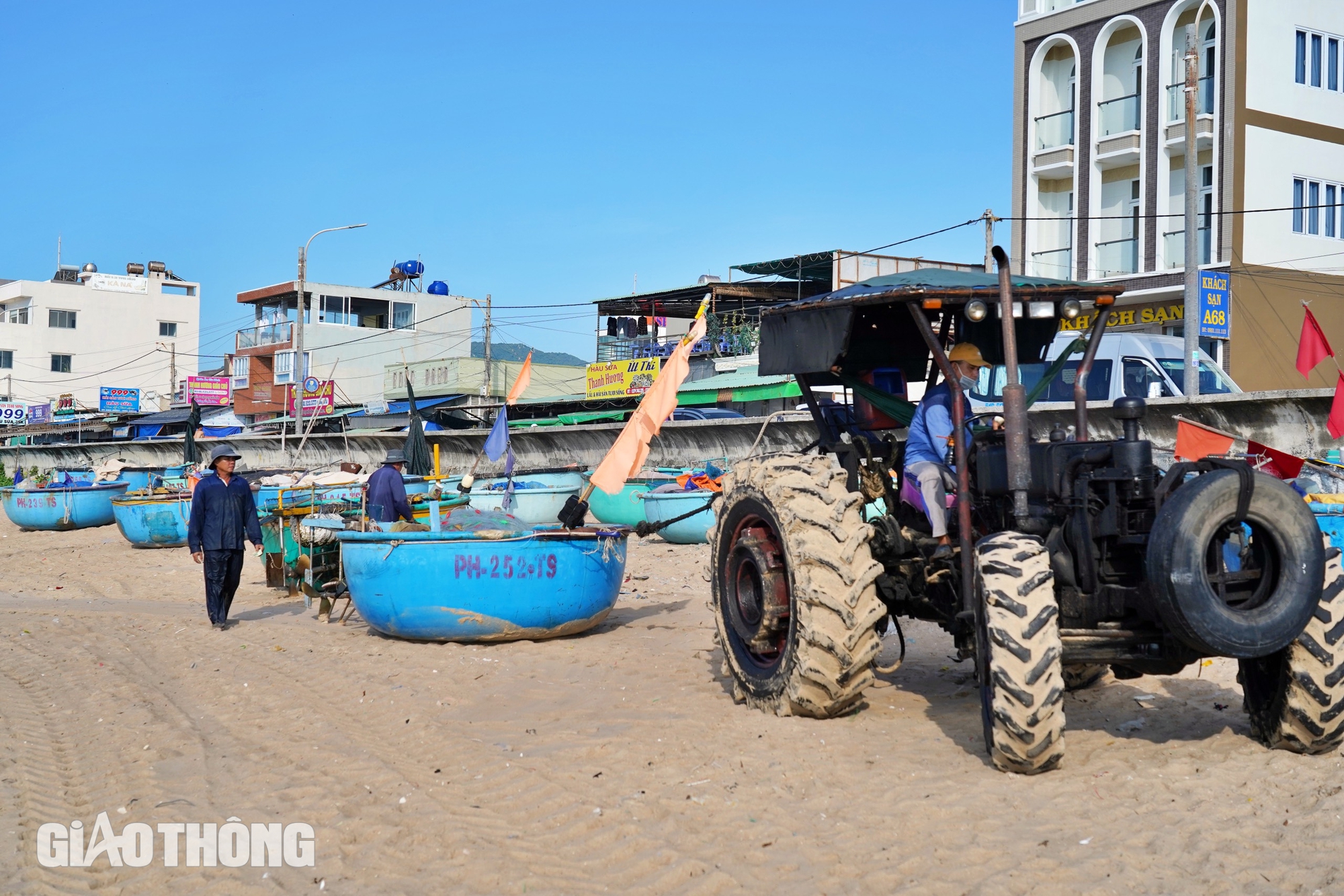 Nhịp sống yên bình ở làng chài Phước Hải- Ảnh 10.