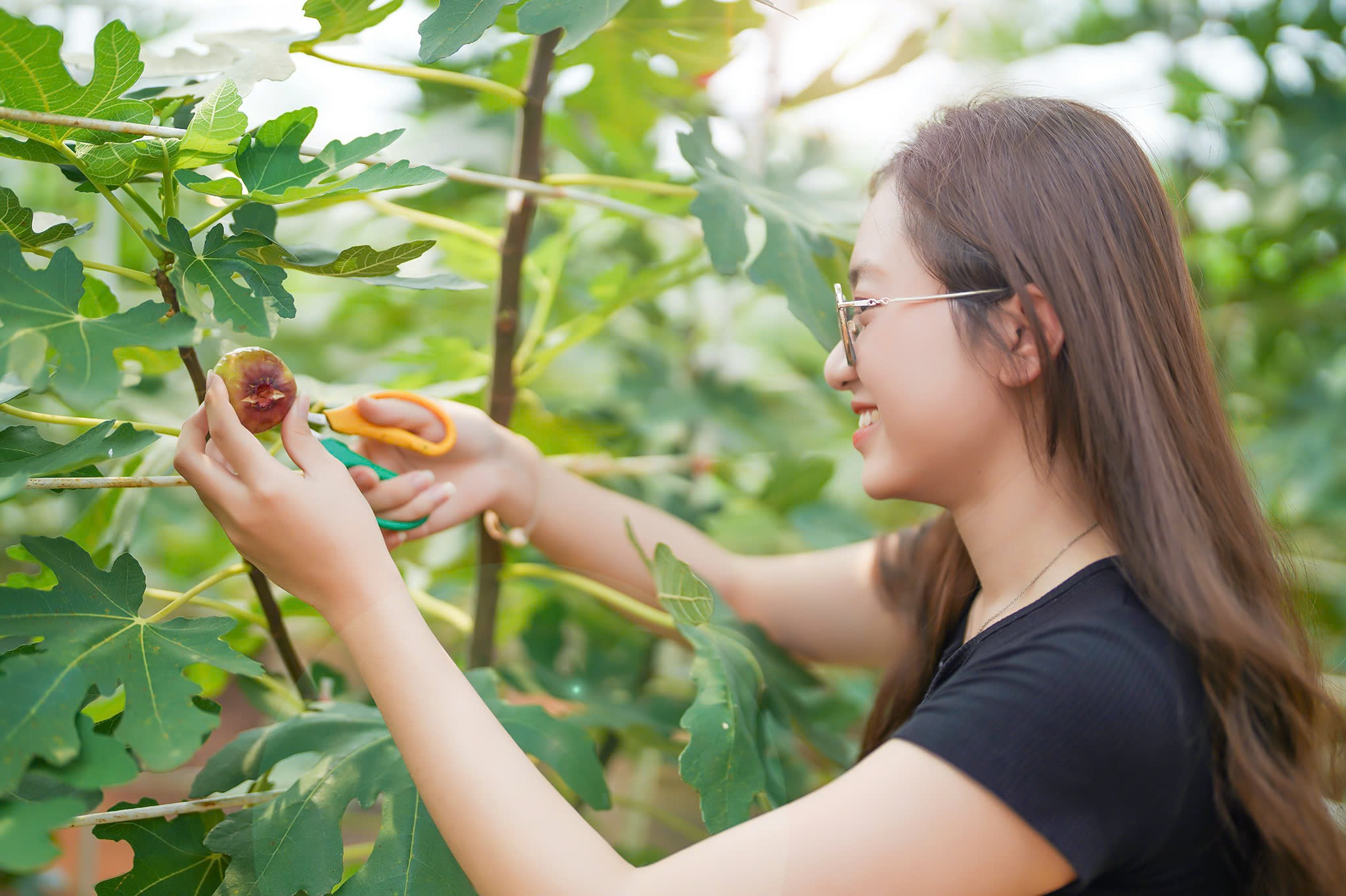 Du khách chơi gì ở TP.HCM dịp nghỉ lễ 2/9?- Ảnh 1.