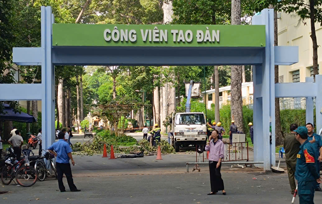 Nhánh cây trong công viên Tao Đàn bị gãy, đè 2 người tử vong, 3 người bị thương- Ảnh 2.