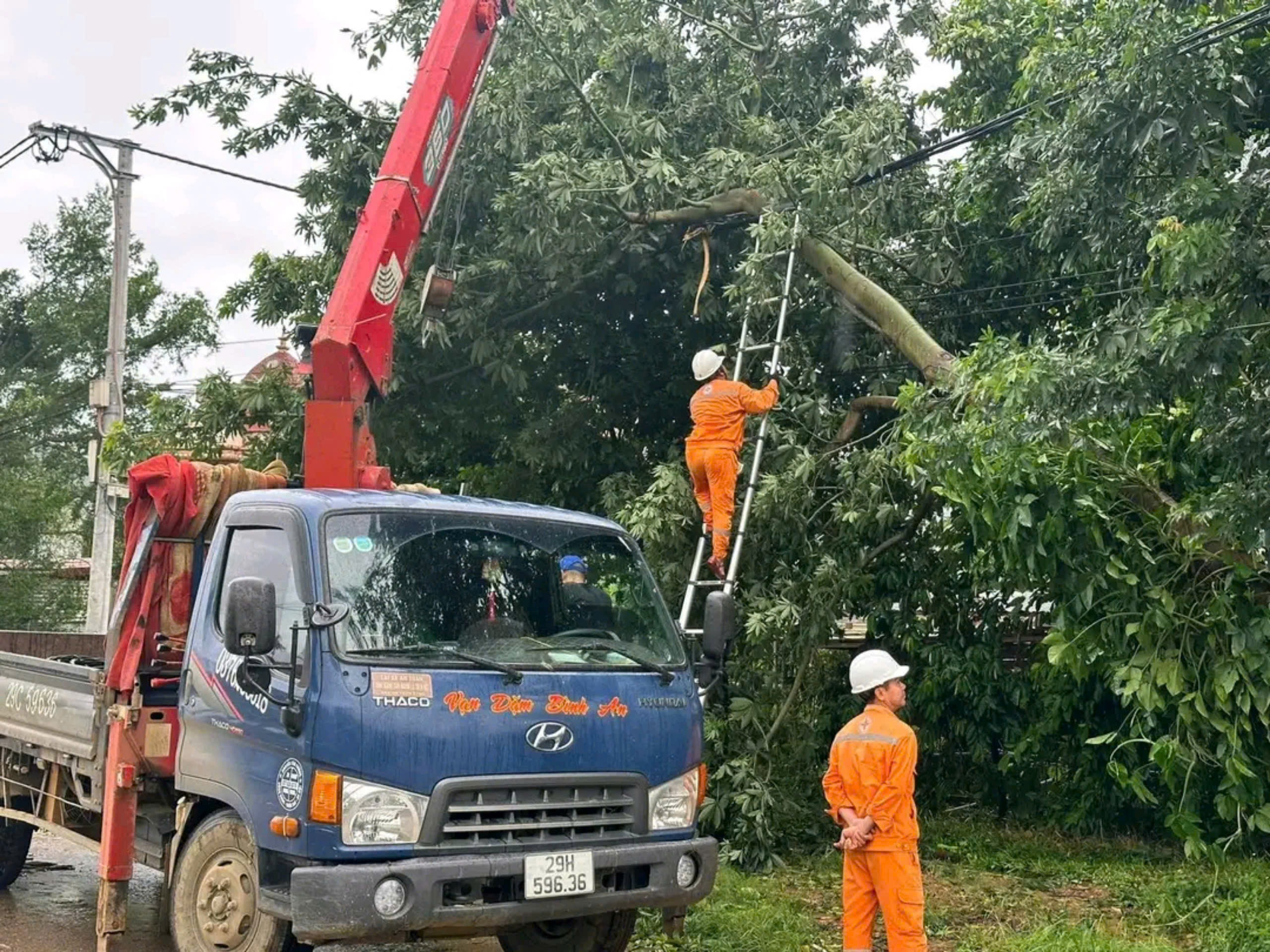 Quảng Ninh còn 70% khách hàng mất điện, Giám đốc Điện lực Hạ Long bị đình chỉ chức vụ- Ảnh 1.