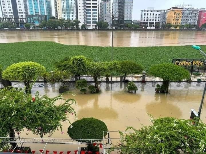 Hàng nghìn người ở Hà Nam gia cố đê, chạy lũ cả ngày lẫn đêm- Ảnh 20.