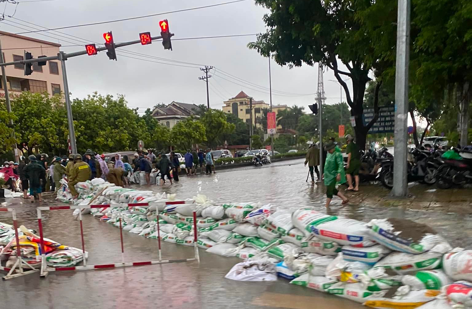 Hàng nghìn người ở Hà Nam gia cố đê, chạy lũ cả ngày lẫn đêm- Ảnh 23.