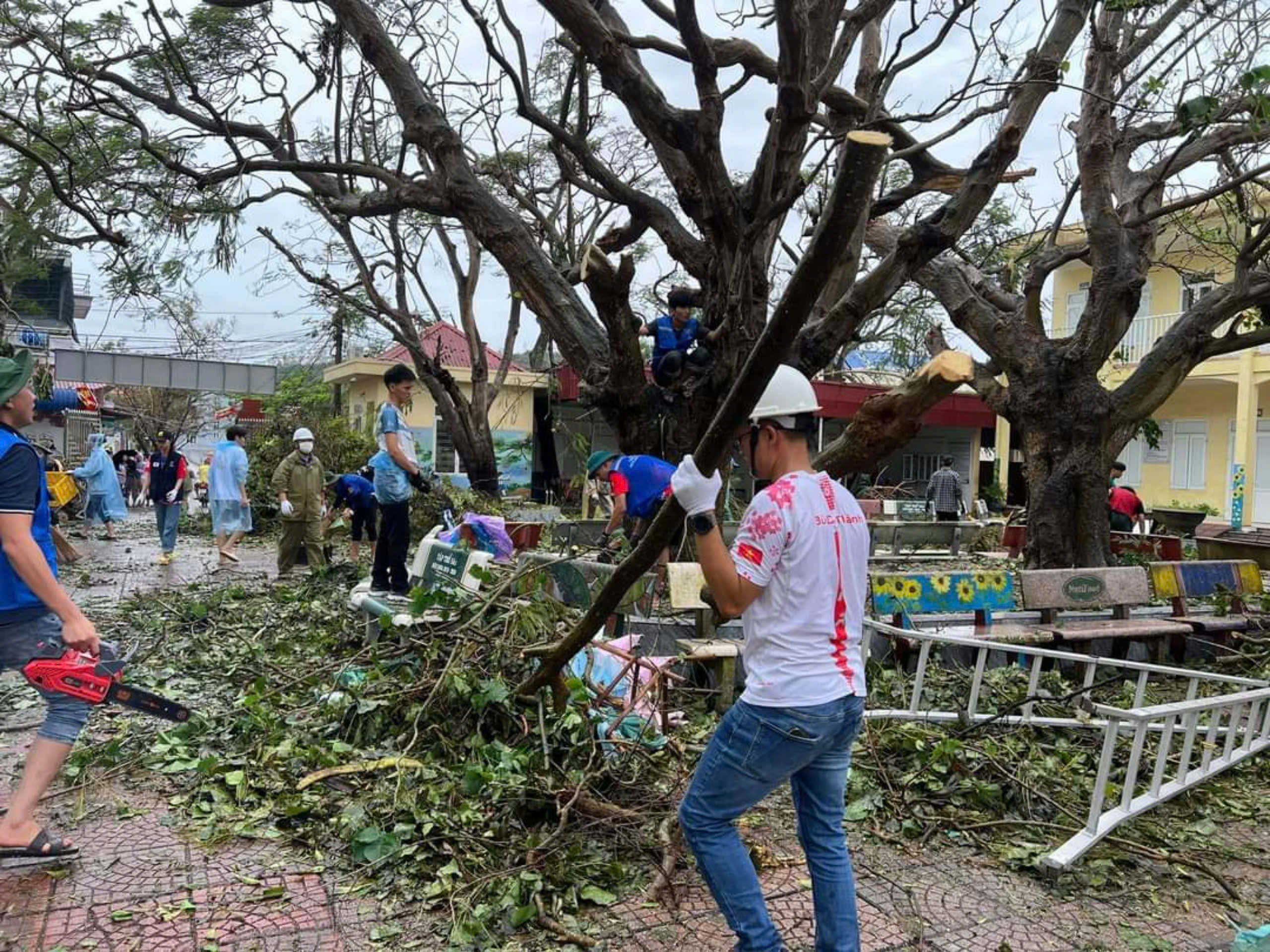 Thanh niên tình nguyện khắp nơi hỗ trợ Hải Phòng khắc phục hậu quả bão số 3- Ảnh 5.