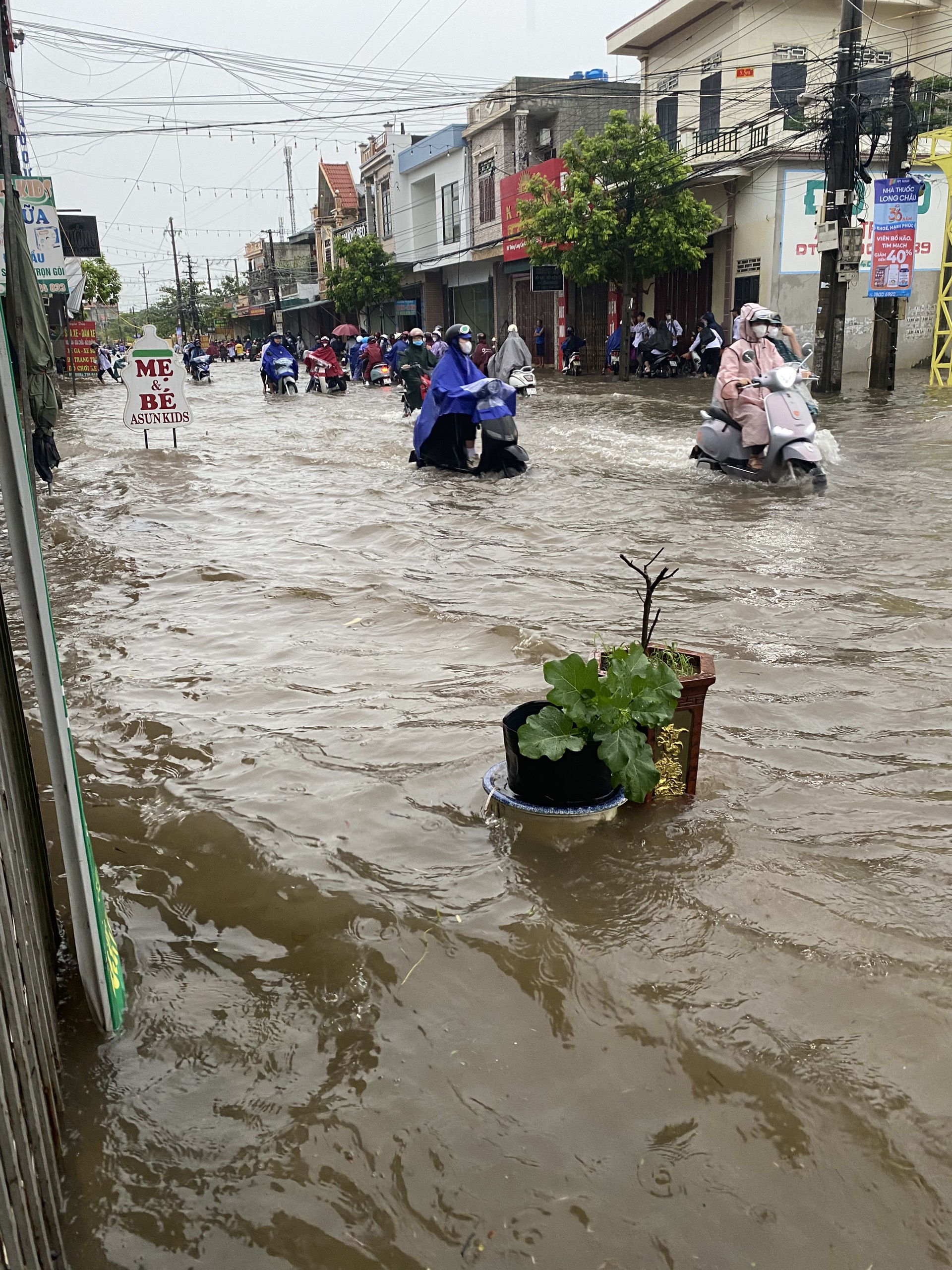 Mưa lớn, nhiều nơi ở Thái Bình ngập sâu- Ảnh 1.