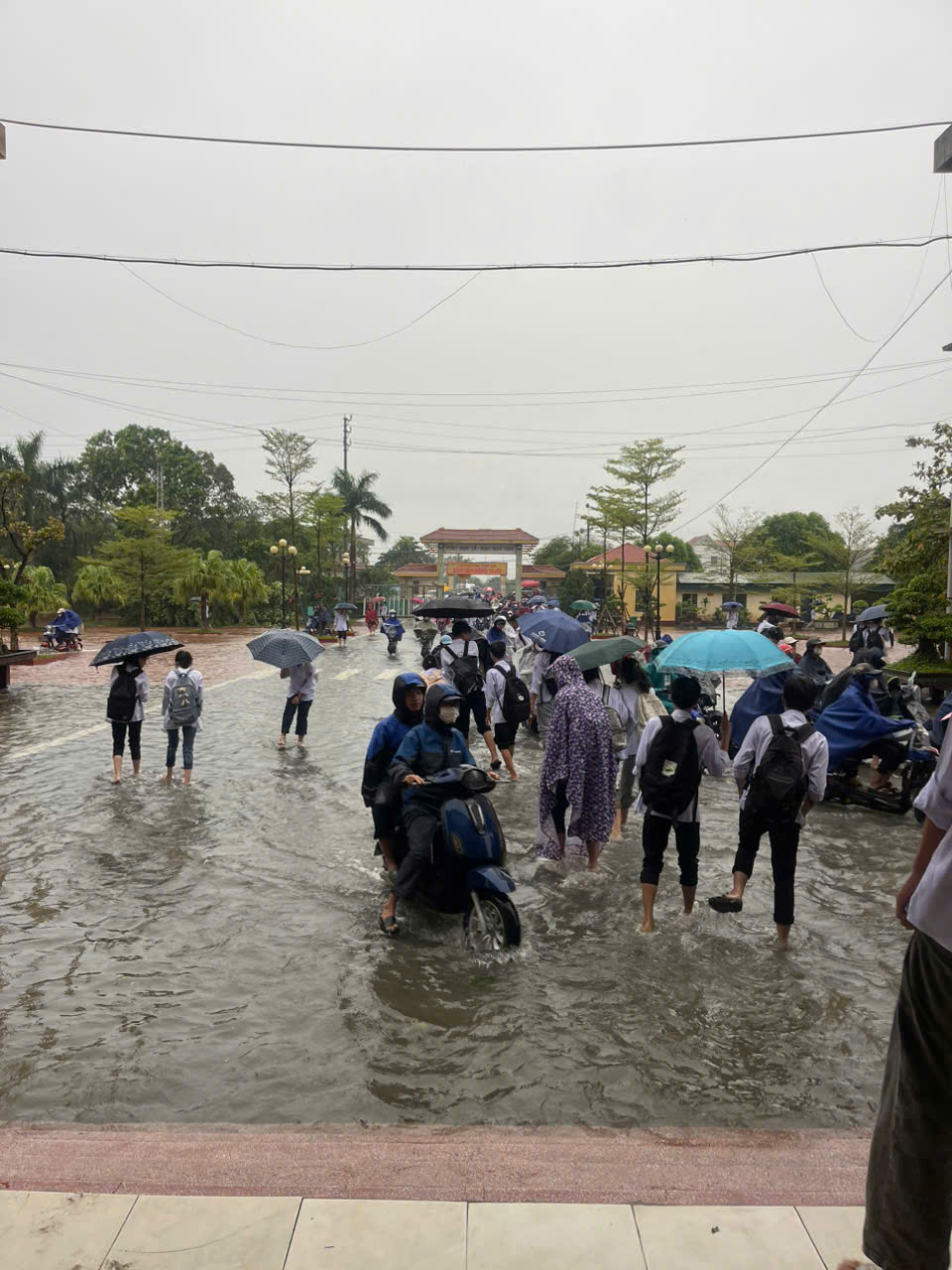 Mưa lớn, nhiều nơi ở Thái Bình ngập sâu- Ảnh 10.