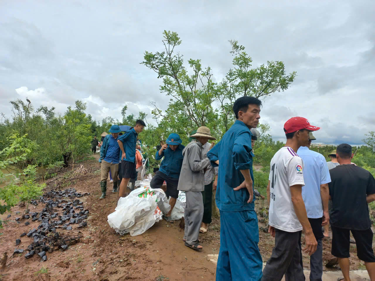 Thông tin vỡ đê ở Thái Bình là thất thiệt- Ảnh 3.